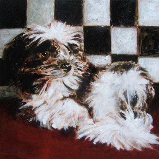 U kunt ook uw huisdier laten schilderen door Colette van Ojik. Dit kan op elk gewenst formaat. Dit voorbeeld is 50x50 cm. Prijs: 795€